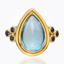 Load image into Gallery viewer, R14634-AQBS7PS