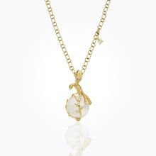 Load image into Gallery viewer, P51872-R22BIRD