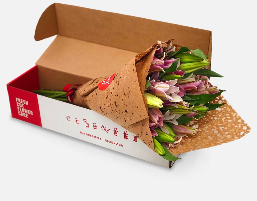 Bloomsy L  Auto renew