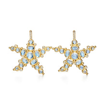 Load image into Gallery viewer, 18K Sea Star Earrings