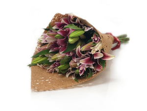 Bloomsy L  Auto renew