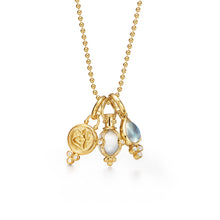 Load image into Gallery viewer, 18K Classic Charm Necklace