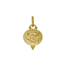 Load image into Gallery viewer, 18K Pisces Zodiac Pendant